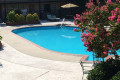 Pool/Courtyard